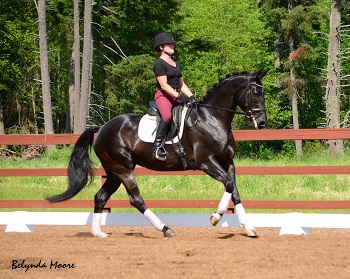 HS Wakara - 2011