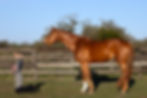 DI1_5939-Edit-Edit.jpg