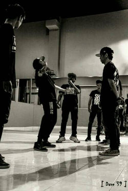 Princess Spread Cage 2