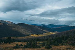 pexels-jacobmooreimages-28096140.jpg