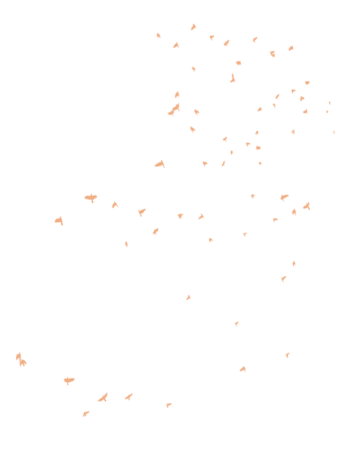 STARTHROWER hot website draft (34).png