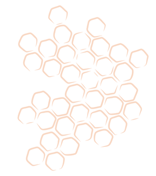 STARTHROWER hot website draft (16).png