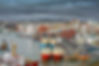 10331058_xl.jpg