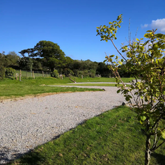 campsite 2.webp