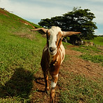 DSCF8483.jpg