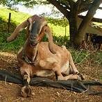 DSCF7835.jpg