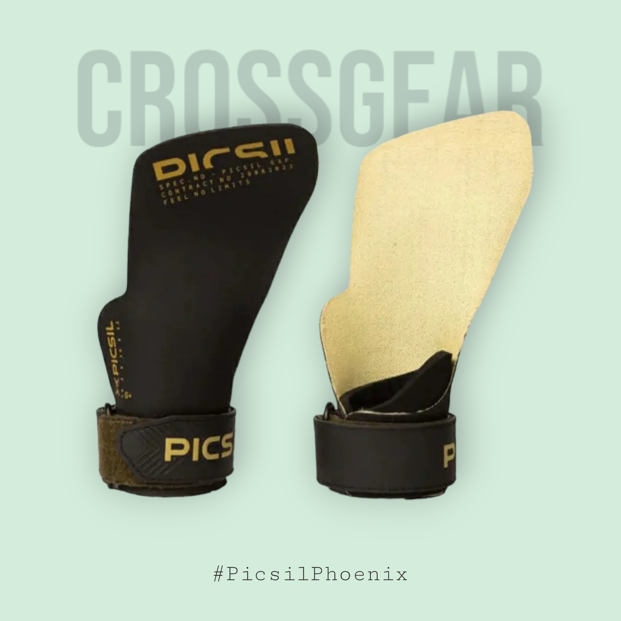Estafas Phoenix Picsil