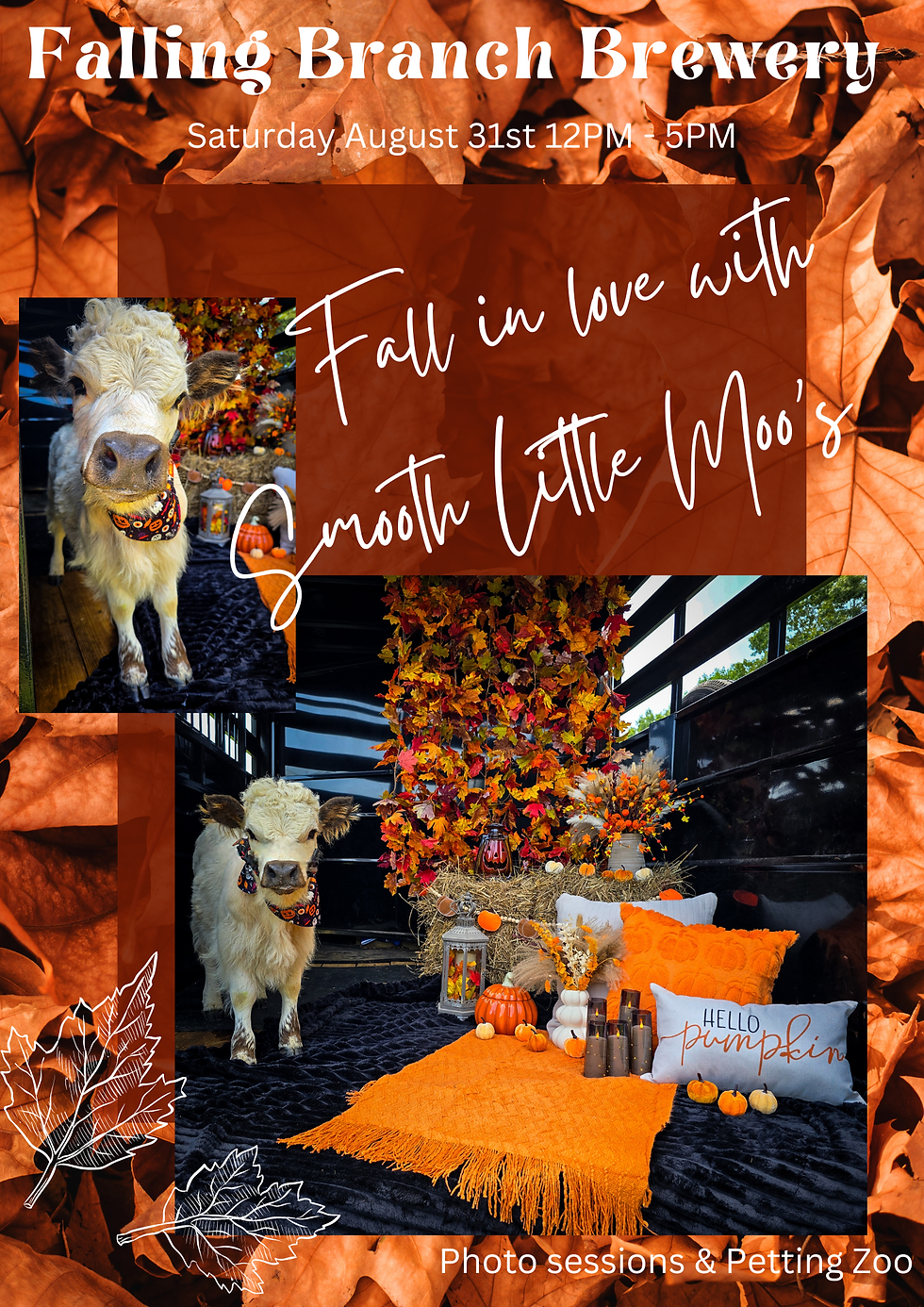 Fall in Love with Smooth Little Moo's at Falling Branch Brewery