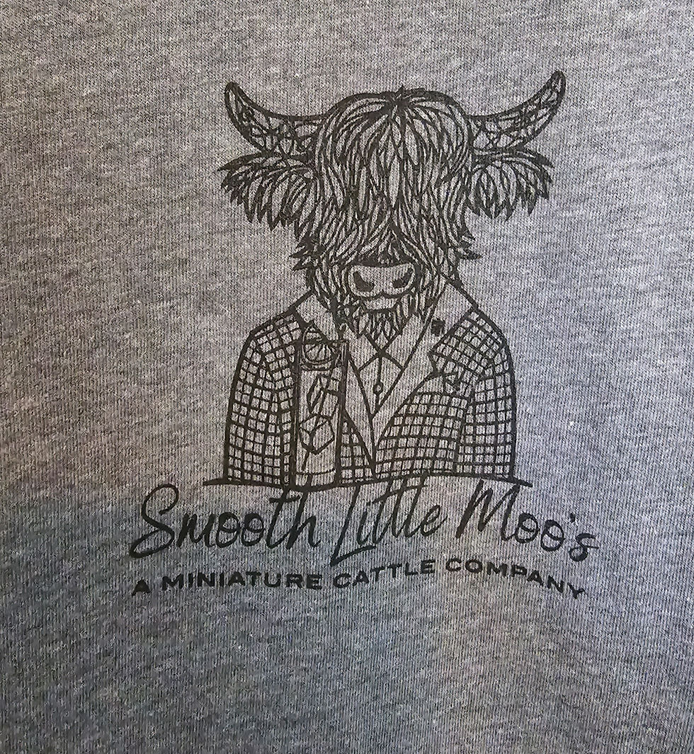 Thumbnail: UNISEX - BELLA CANVAS T-SHIRT