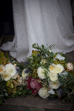 IMG_1419.jpg