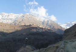 IMG_6948.jpg