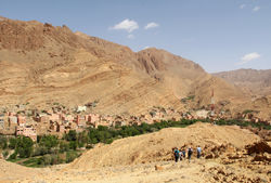 IMG_6743.jpg