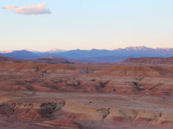 IMG_6886.jpg