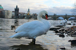 IMG_6737.JPG