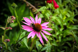IMG_9592.jpg