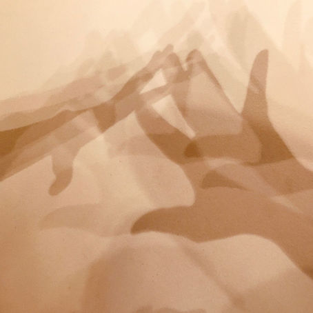 Understanding Empathy: A Comprehensive Guide for Empaths