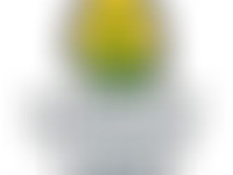 🌱 Planting the Dream: The Future of Harvest of Hope Farm