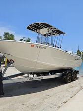 The Fleet