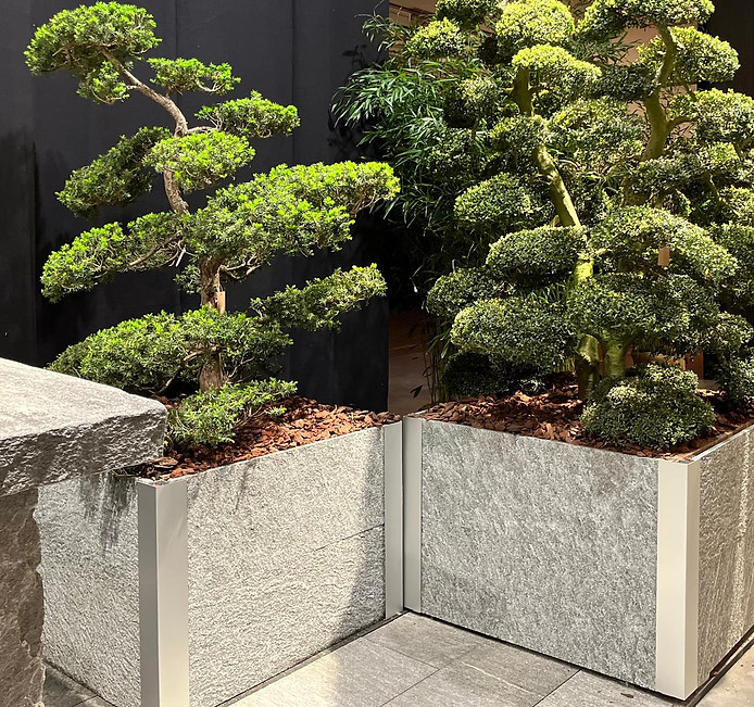 WhatsApp Bild 2024-05-22 um 22.16.15_a29f314d.jpg