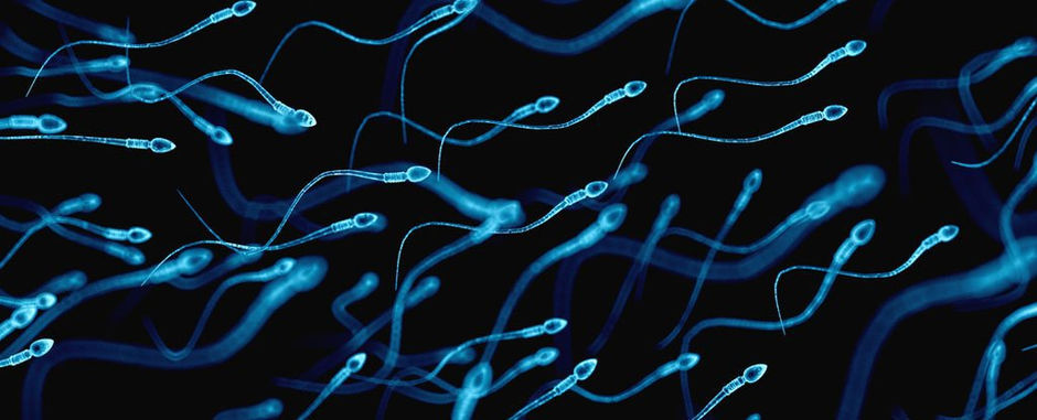 علاج حالة عدم وجود حيونات منويه