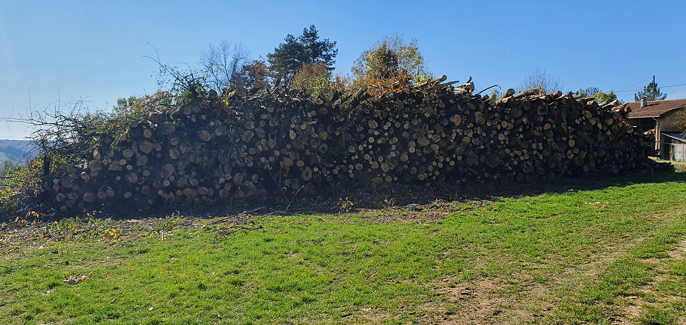 20201031_120732.jpg