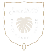 CTL Web Icon_ _Center Badge White.webp