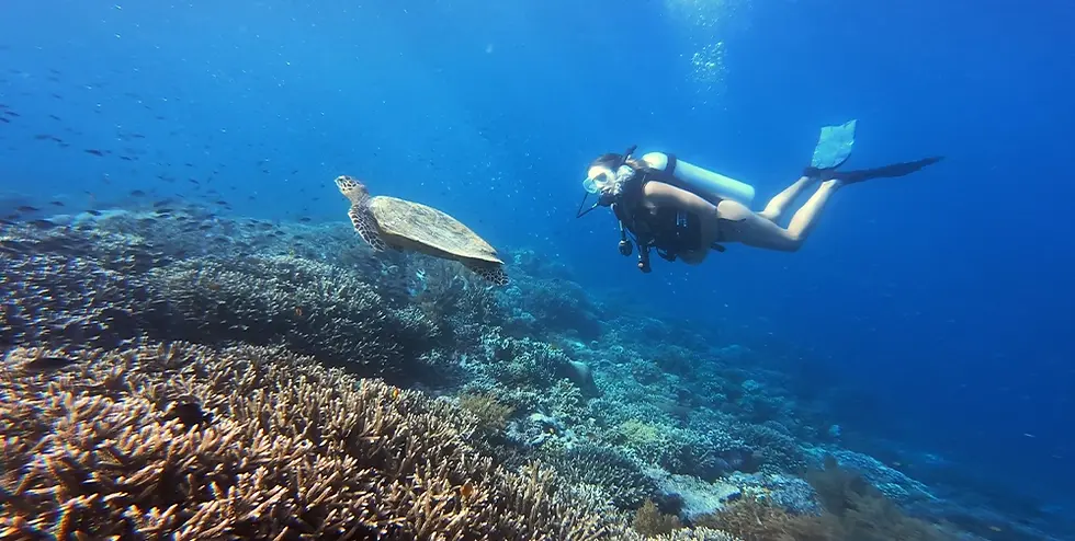 SCUBA diving near All Inclusive Private Island with Overwater Bungalow Thatch Caye Belize.