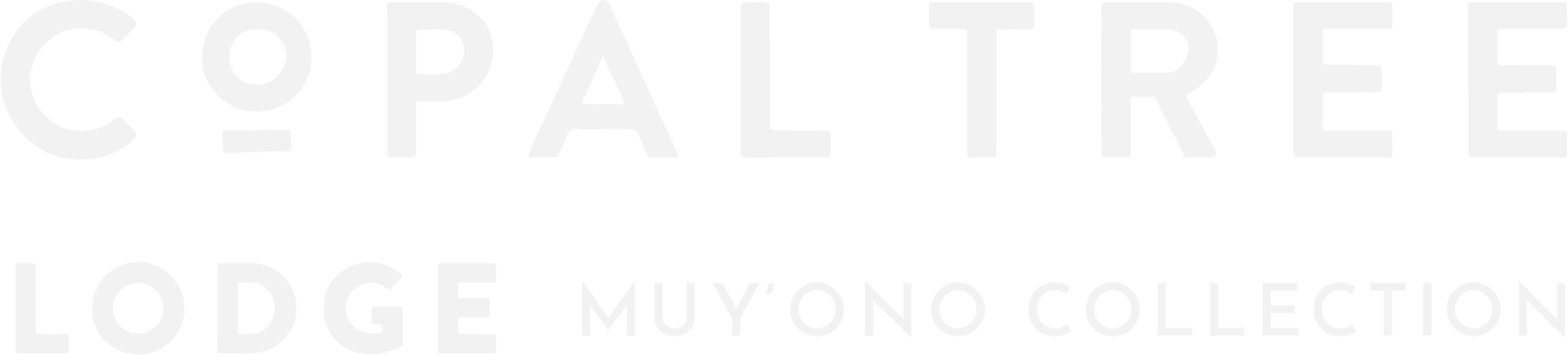 CTL+MOR Collection-Typographic_WATERFALL (1).png