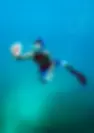 Snorkeling at luxury Belize Eco-lodge Copal Tree Lodge (1).webp