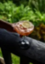 Luxury cocktail by the pool at luxury Belize Eco-lodge Copal Tree Lodge.webp