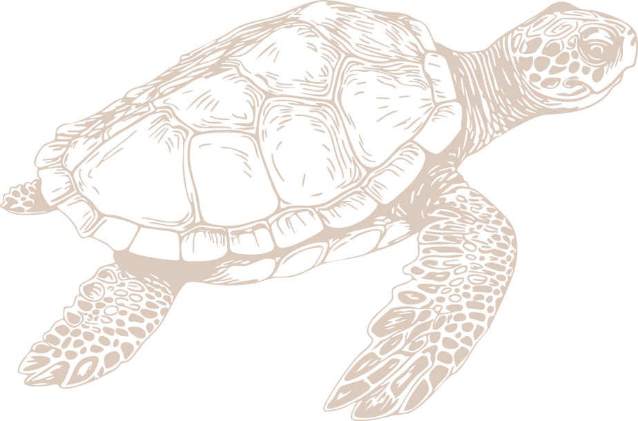 CTL-Fly Fishing Package Graphics-02.webp