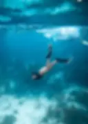 Snorkeling at luxury Belize Eco-lodge Copal Tree Lodge.webp