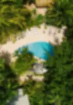 Jungle pool drone at luxury Belize Eco-lodge Copal Tree Lodge (1).webp