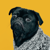 Unsplash-Avatars_0003s_0029_charles-Mv9hjnEUHR4-unsplash.png