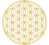 Untitled%20design%20(6)_edited.png