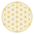 Untitled%20design%20(6)_edited.png