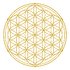 Untitled%20design%20(6)_edited.png