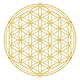 Untitled%20design%20(6)_edited.png