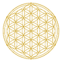 Untitled%20design%20(6)_edited.png