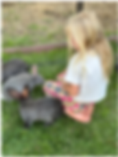 Little girl with baby rabbits