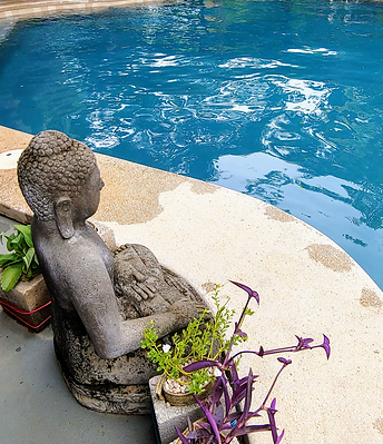 Budha by Pool.png