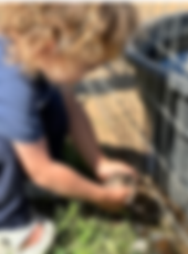 Little boy holding baby chick