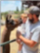 A dad and son kissing a llama