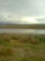 Shoreline Verticle Landscape with Water .jpg