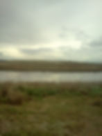 Shoreline Verticle Landscape.jpg