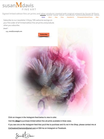 susanmdavis fine art website home page.png