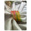 Thumbnail: Rainbow Raindrop Glass Bangle Set (12 pieces) Size- 2.10