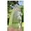 Thumbnail: Lemurian Quartz