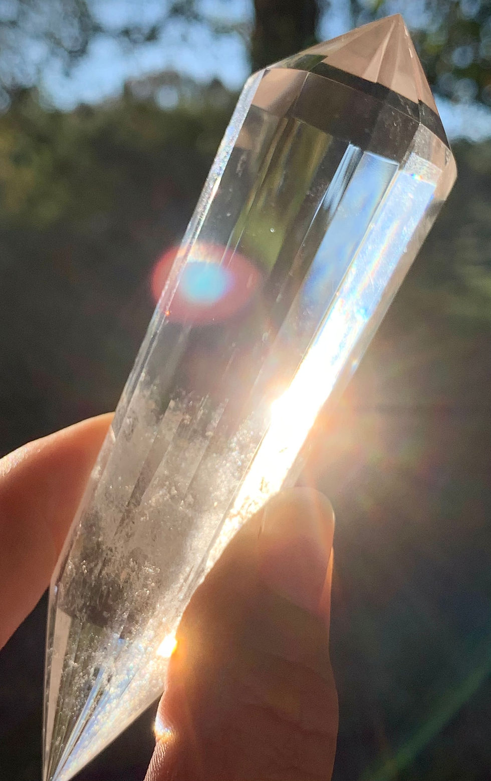 Thumbnail: Lemurian Vogel