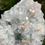 Thumbnail: Apophyllite with peach stibnite